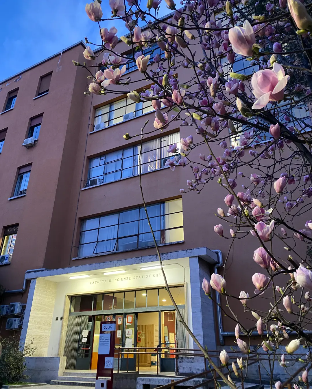 Department of Statistical Sciences, Sapienza University of Rome